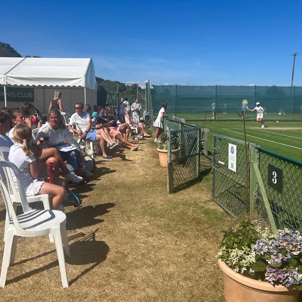 Junior Tennis Tournament 2026 2 768910279 1617176266768759 2335848289568985149 n